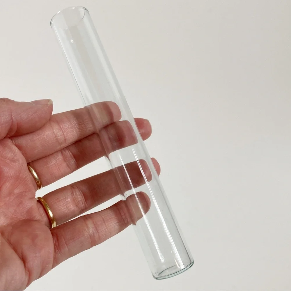 Minimalist Propagation Station Vintage Glass Test Tube Planter Plant